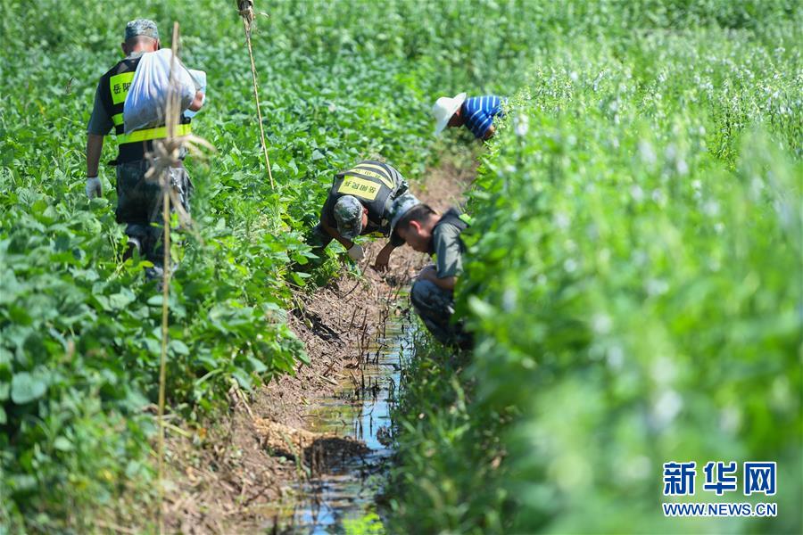 （新華全媒頭條&middot;圖文互動）（10）筑起共御水患的鋼鐵長堤&mdash;&mdash;戰洪一線的&ldquo;干群關系新答卷&rdquo;