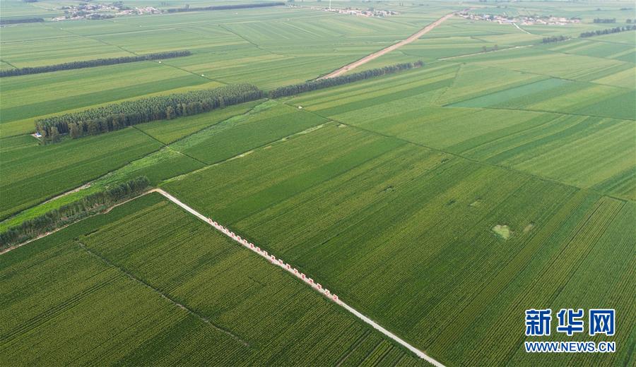 （在習近平新時代中國特色社會主義思想指引下&mdash;&mdash;新時代新作為新篇章&middot;習近平總書記關切事&middot;圖文互動）（2）為黑土加&ldquo;油&rdquo;&mdash;&mdash;&ldquo;耕地中的大熊貓&rdquo;，我們這樣保護