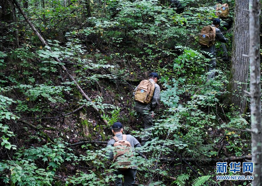 （圖文互動(dòng)）（2）長(zhǎng)白山60年書(shū)寫(xiě)&ldquo;生態(tài)答卷&rdquo;