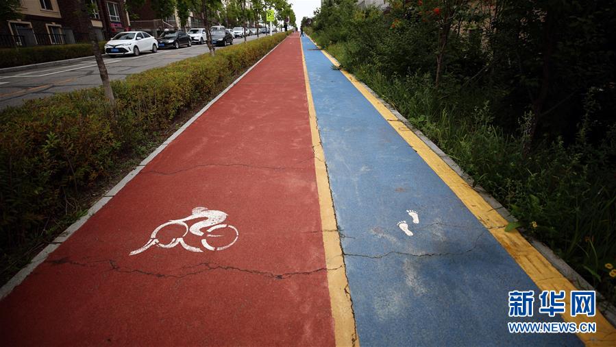 （圖文互動(dòng)）（9）長(zhǎng)白山60年書(shū)寫(xiě)&ldquo;生態(tài)答卷&rdquo;