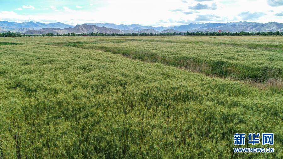 （走向我們的小康生活&middot;圖文互動）（2）&ldquo;無煙村&rdquo;的新追求&mdash;&mdash;西藏新時代文明鄉(xiāng)村成長記