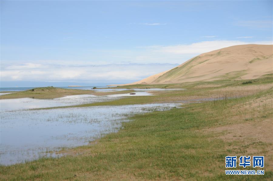 （新華全媒頭條&middot;圖文互動(dòng)）（12）大湖見證 &mdash;&mdash;持續(xù)保護(hù)讓青海湖生態(tài)華麗&ldquo;蝶變&rdquo;