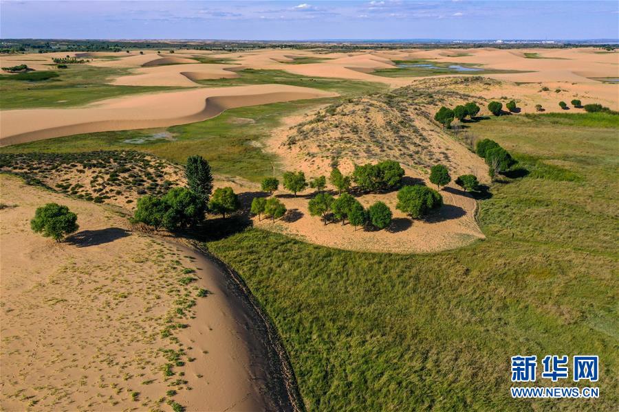 （在習近平新時代中國特色社會主義思想指引下&mdash;&mdash;新時代新作為新篇章&middot;習近平總書記關切事&middot;圖文互動）（10）綠意，在黃沙中鋪展&mdash;&mdash;我國防沙治沙紀實