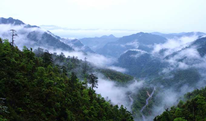 廣東乳源、廣東乳陽林場、云南華寧葫蘆口電站