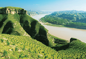 張建龍：&ldquo;三北工程&rdquo;實現生態、經濟、社會效益&ldquo;多贏&rdquo;