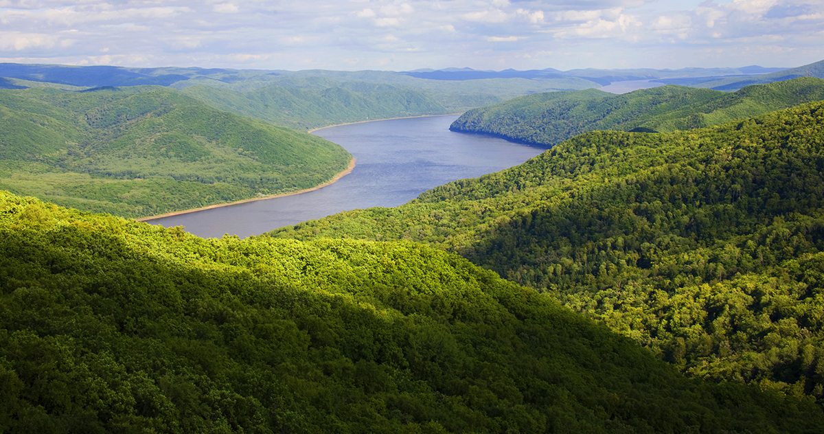 張建龍：&ldquo;三北工程&rdquo;實現生態、經濟、社會效益&ldquo;多贏&rdquo;