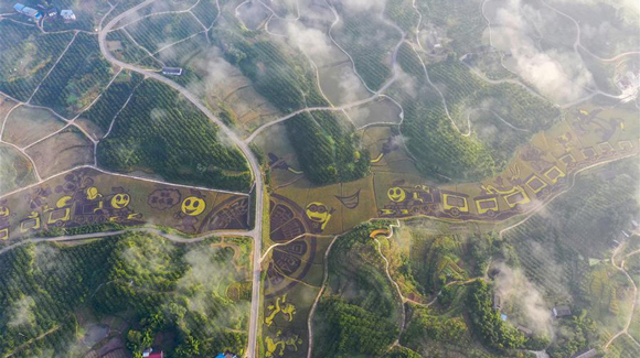 百城千縣萬村調研行｜在三峽橘鄉，遇見最美的田園時光！