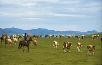 華能北方公司：奔小康，咱肯定能