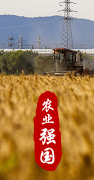 農業強國是社會主義現代化強國的根基。