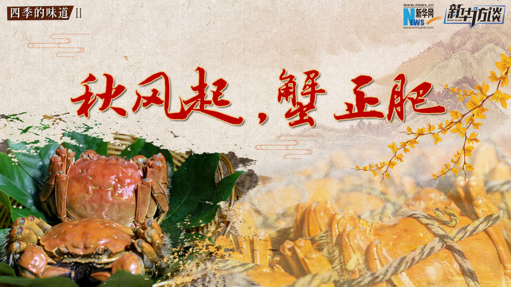 秋風(fēng)起，蟹正肥