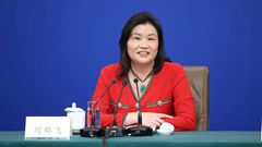 全國政協(xié)委員、全國工商聯(lián)執(zhí)行委員會常委、藍(lán)思科技股份有限公司董事長 周群飛