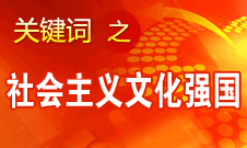 胡錦濤提出，扎實推進社會主義文化強國建設