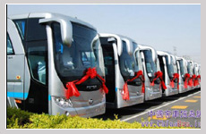 旅行社能為經濟發展做什么?