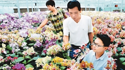 臺商眼中的改革開放：風景這邊獨好 要去，要去，要去！