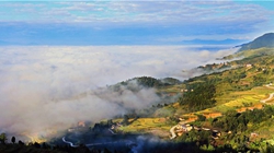 臺胞臺商熱議陜西惠臺&ldquo;60條&rdquo;：期盼落實、共享機遇