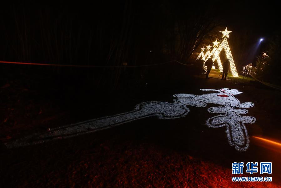 （國際）（2）&ldquo;柏林圣誕花園&rdquo;燈光秀開幕