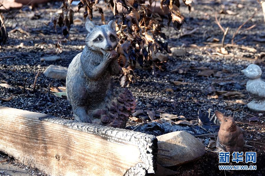 （國際&middot;圖文互動）（4）一場山火，讓這個冬天格外冷&mdash;&mdash;探訪美國加州山火災區