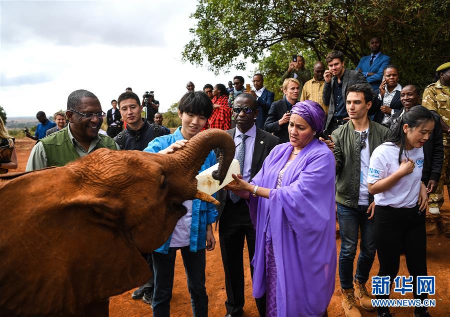 （國際&middot;圖文互動）（1）專訪：環保要以身作則 從身邊小事做起&mdash;&mdash;訪聯合國環境署親善大使王俊凱