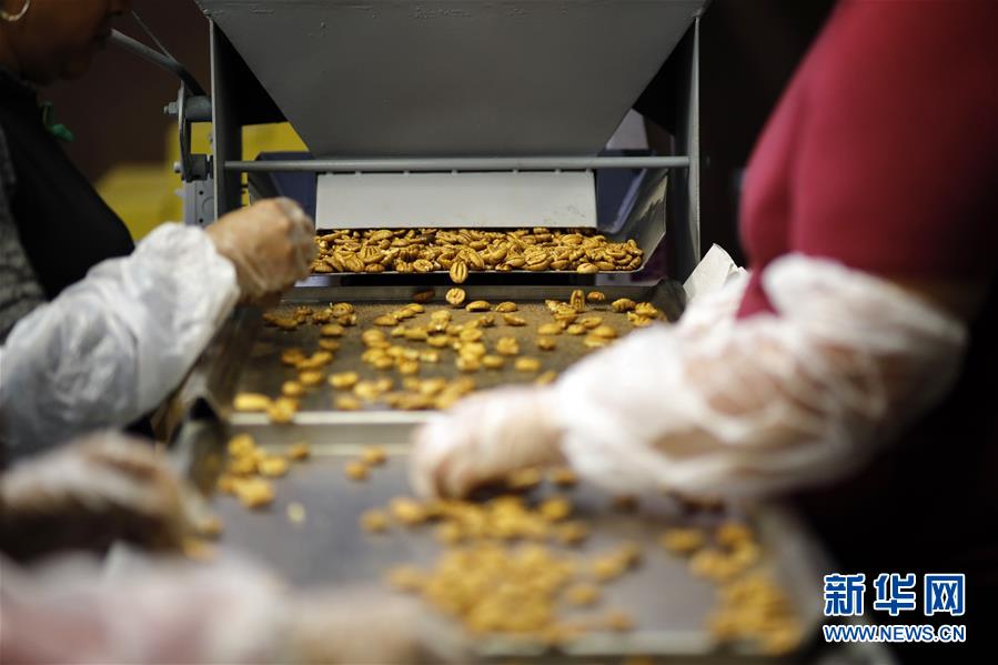 （國(guó)際&middot;圖文互動(dòng)）（8）通訊：期待美中盡早達(dá)成貿(mào)易協(xié)議&mdash;&mdash;颶風(fēng)和關(guān)稅夾擊下的美國(guó)山核桃種植戶盼重回中國(guó)市場(chǎng)