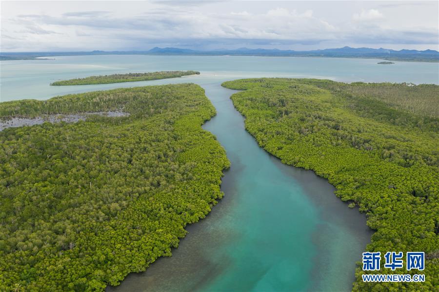 （國際&middot;海外中國人追夢(mèng)故事）（2）李嘉文：我在印尼當(dāng)&ldquo;島主&rdquo;