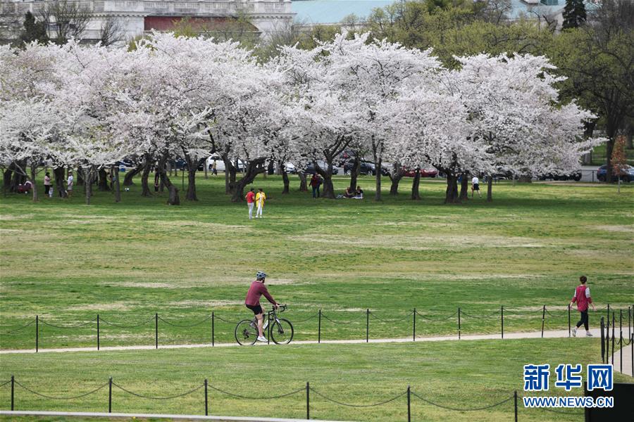 （國際疫情）（1）約翰斯&middot;霍普金斯大學：美國新冠肺炎確診病例超10萬例